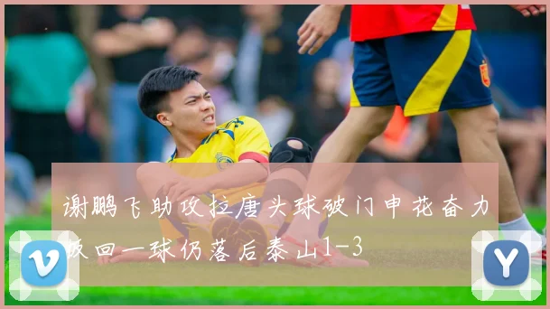 谢鹏飞助攻拉唐头球破门申花奋力扳回一球仍落后泰山1-3